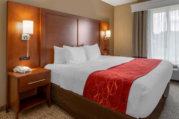Comfort Suites North image 14