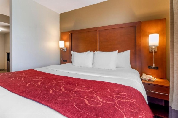 Comfort Suites North image 20