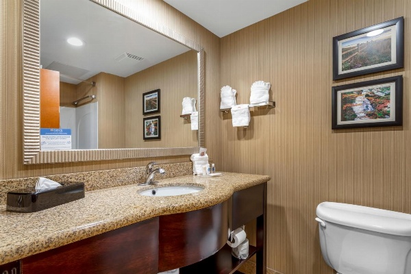 Comfort Suites North image 4